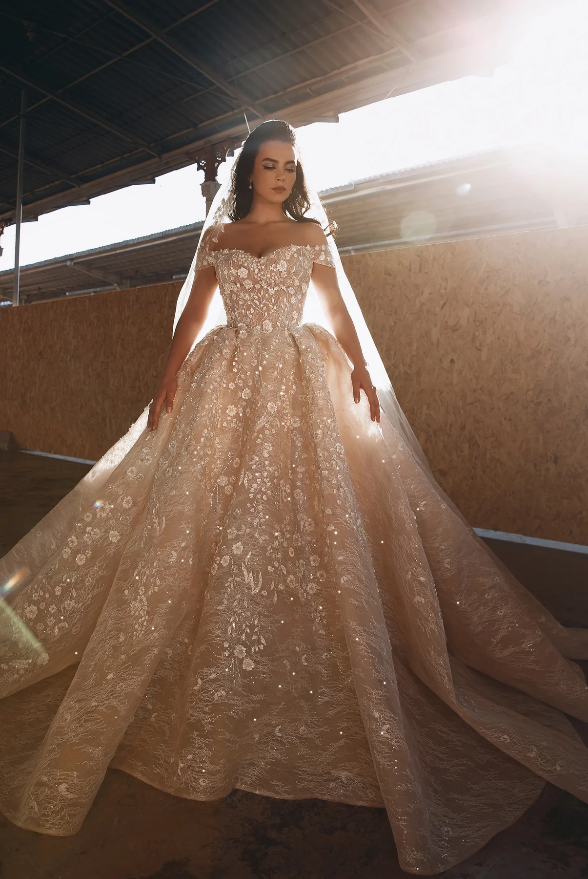 Ball Gown Wedding Dresses collection cover